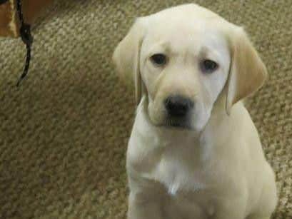 Tilly was named after the first mayor of Northampton, William Tilly.