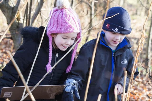 Pupils explore the new forest classroom.
