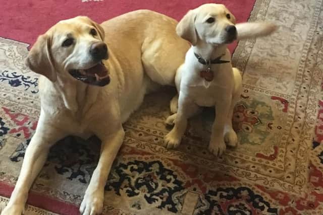 Verity and Tilly.