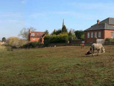 A view from the south-east corner of the development land, currently being used as a paddock for horses.