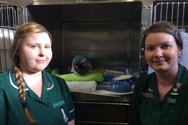 Veterinary nurses Lauren Goodchild, left, and Gemma Abraham, right, with "Stitchy."