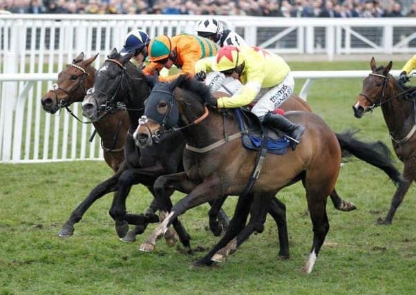 The grey Flying Angel (centre) is pictured sporting Rob Rextons colours at the Cheltenham Festival last March