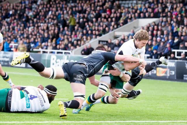 Jamie Gibson scored for Saints (picture: Kirsty Edmonds)