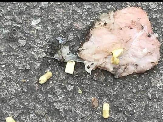 The meat was found in gardens laced with mustard-yellow coloured pills.