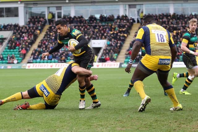 Ken Pisi and Saints saw off Worcester at Franklin's Gardens (pictures: Sharon Lucey)