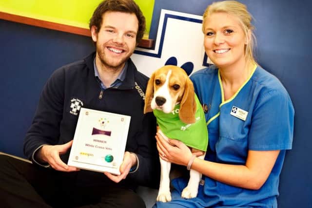 Ed Newbould, head of team engagement and development at White Cross Vets with veterinary nurse Nicola Bond and dog Millie