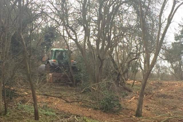 A tractor equipped with a woodchipper cleared around 40 acres of shrubbery and trees.
