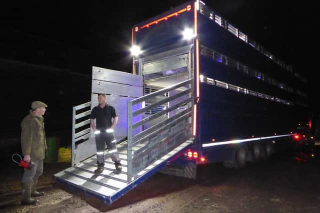 A massive articulated lorry arrived for an overnight stay on the farm. Picture copyright Heather Jan Brunt