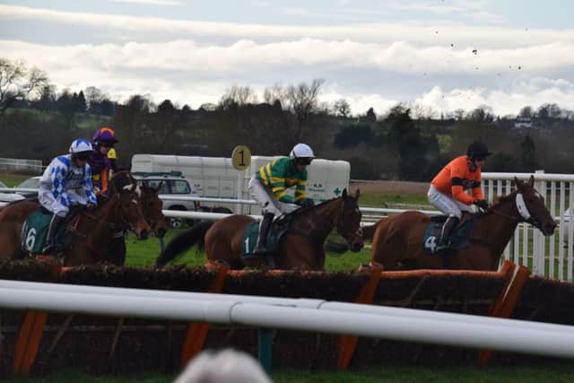 The horses at Warwick Racecourse