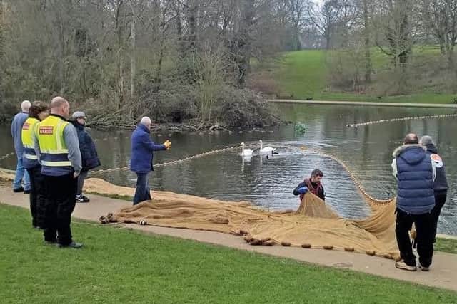 Moving fish from Abington bottom pond to the main lake