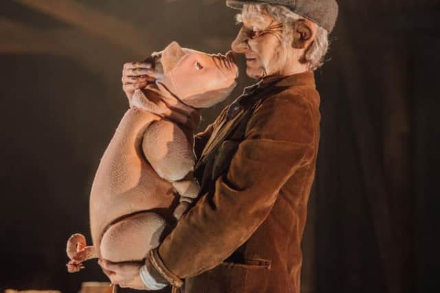Babe the Sheep Pig coming to Kettering