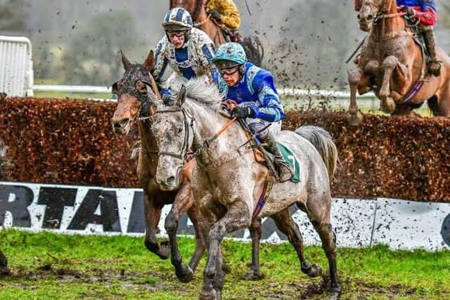 The David Arbuthnot-trained Snowball is pictured here winning at Towcester in February and could land a repeat on Thursday in the 3m handicap chase (picture: David Yanez)