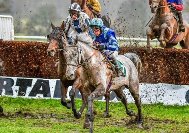 The David Arbuthnot-trained Snowball is pictured here winning at Towcester in February and could land a repeat on Thursday in the 3m handicap chase (picture: David Yanez)