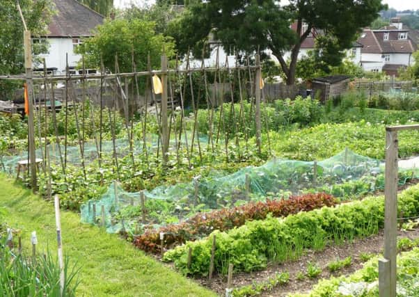 Police are urging allotment owners to be vigilant (file picture)