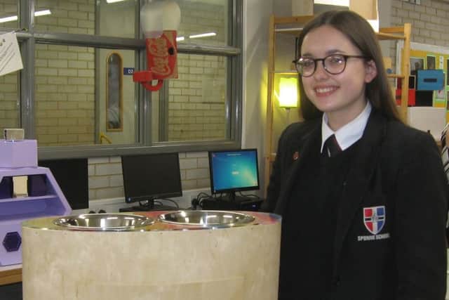 GCSE student India Leask with her dog-feeding station