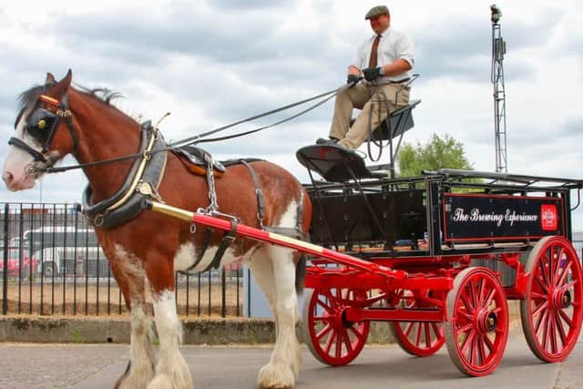 A horse-drawn dray