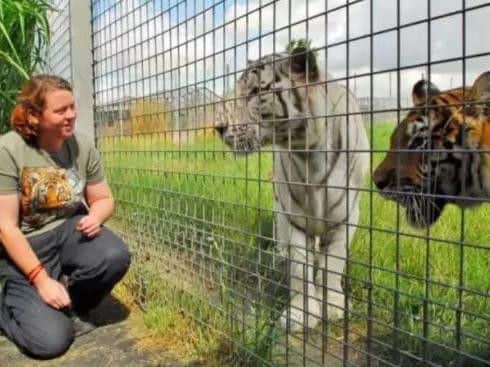 Rosa King