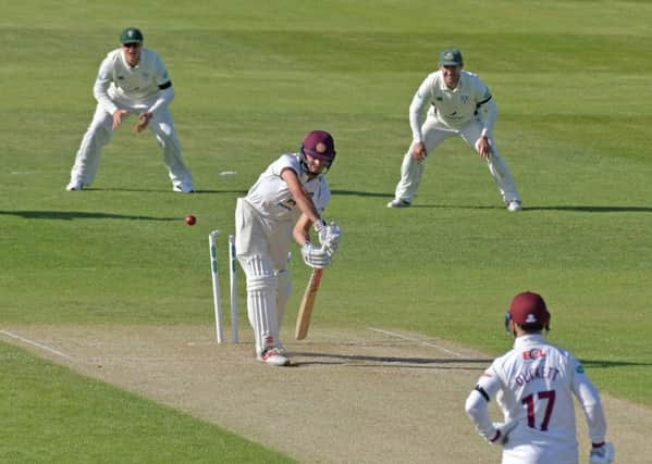 Max Holden is on loan at Northants from Middlesex (picture: Dave Ikin)