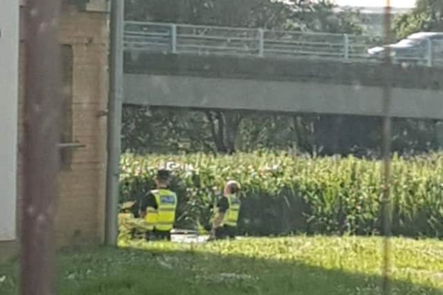 Police standing in West Cotton Close this evening.