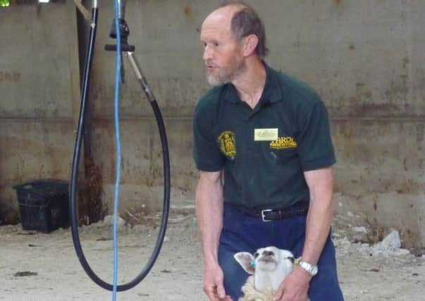 Sheep farmer Richard Belgrove giving a sheep demonstration at Buckinghamshire Young Farmers Rally in 2014. Picture copyright Heather Jan Brunt
