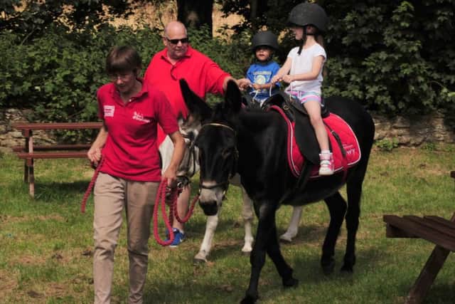 Donkey rides for children will one of the attractions