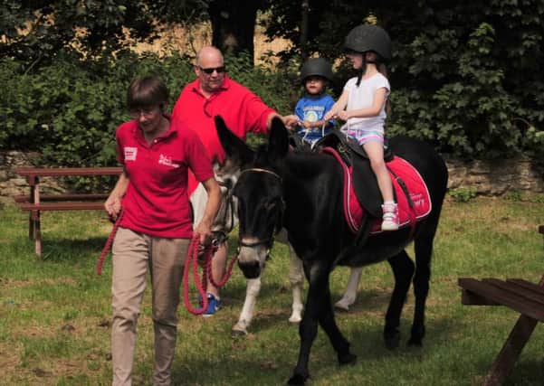 Donkey rides for children will one of the attractions