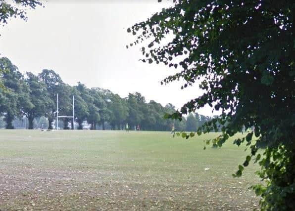 A woman was attacked by two dogs as she walked through the Racecourse.