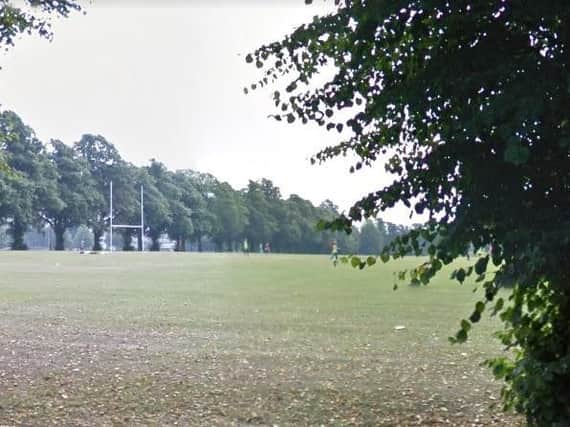 A woman was attacked by two dogs as she walked through the Racecourse.