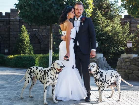 Dotty about your dog? One local woman has set up a service to make sure Rover is at your big day.