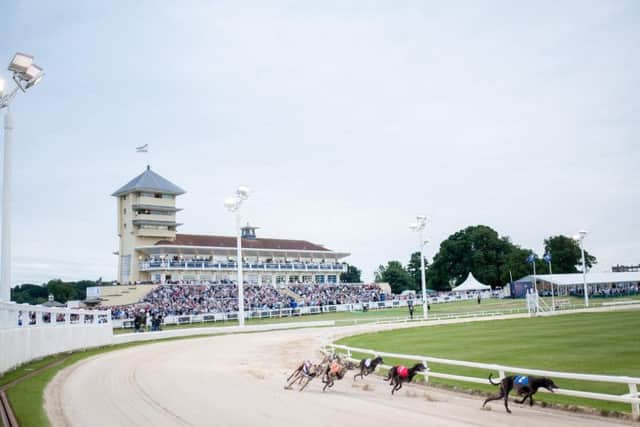 Six thousand people watched the Greyhound Derby at Towcester Racecourse