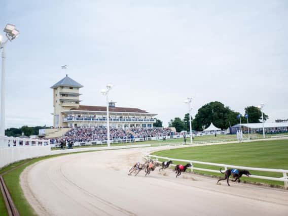 Six thousand people watched the Greyhound Derby at Towcester Racecourse