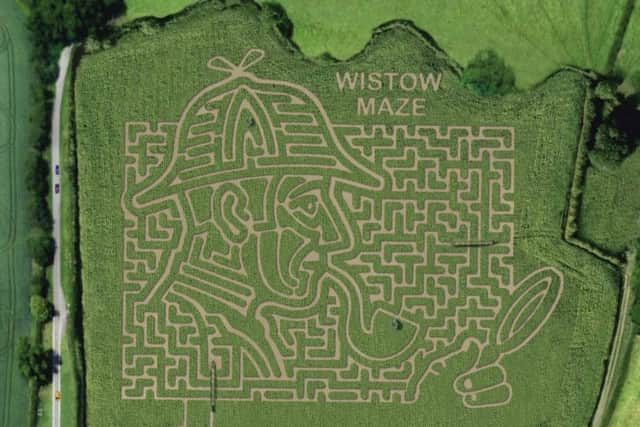 Aerial view of Wistow Maze