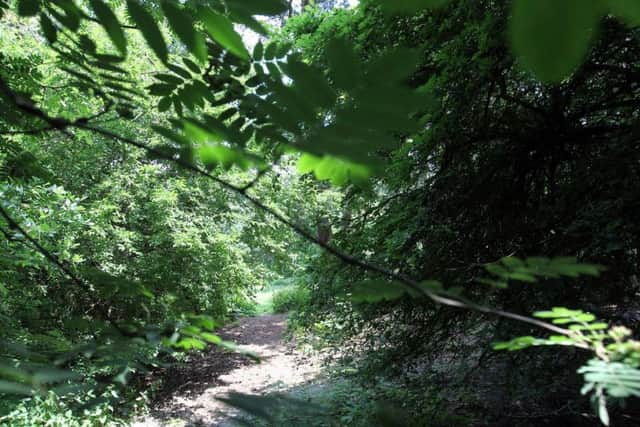 The incident took place in Lings Wood, near Arlbury Road.