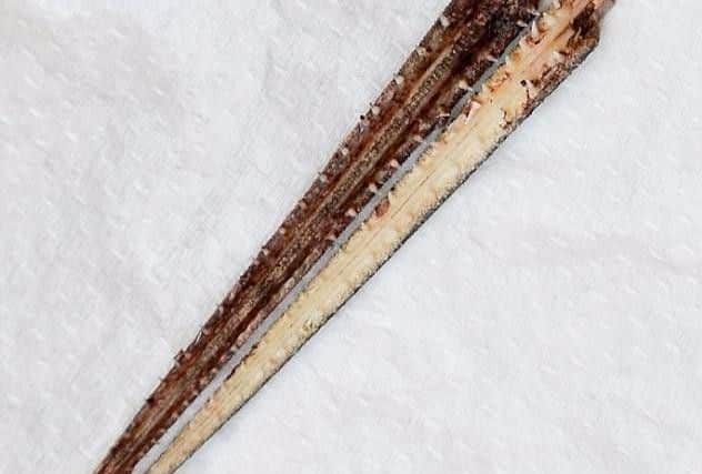 The bill was about the size of a standard kitchen knife