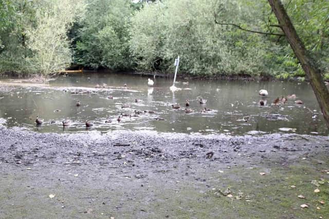 Kingfisher lake could be transformed if funding can be found for a major revamp scheme.