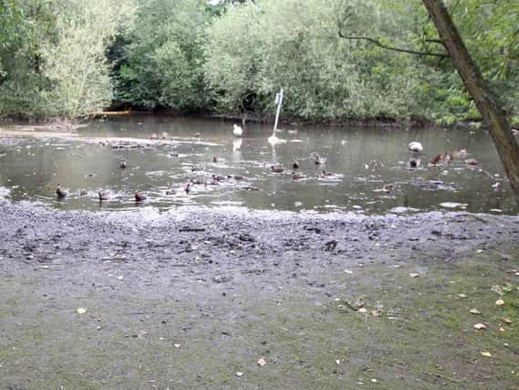 Kingfisher lake could be transformed if funding can be found for a major revamp scheme.