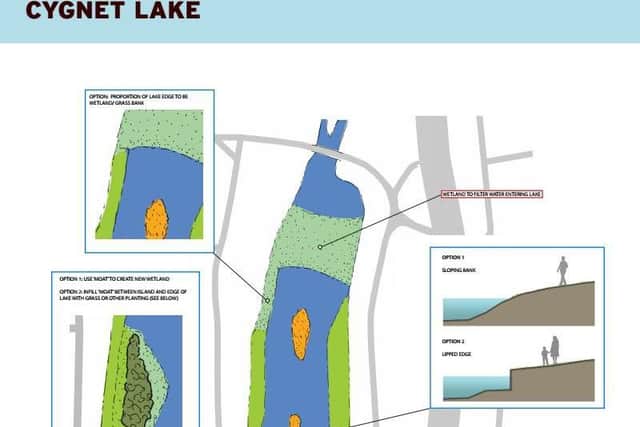Part of the plans for Cygnet Lake.