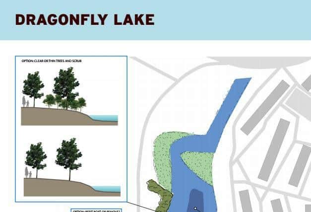Part of the plans for Dragonfly Lake.