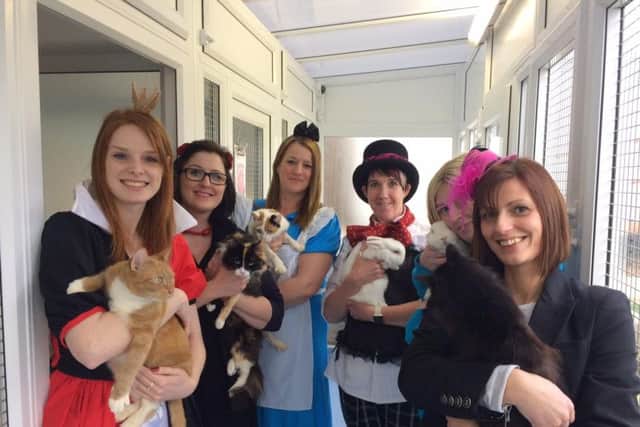 Staff at RSPCA Northamptonshire hosted a Mad Hatters Tea Party rehoming event in February.