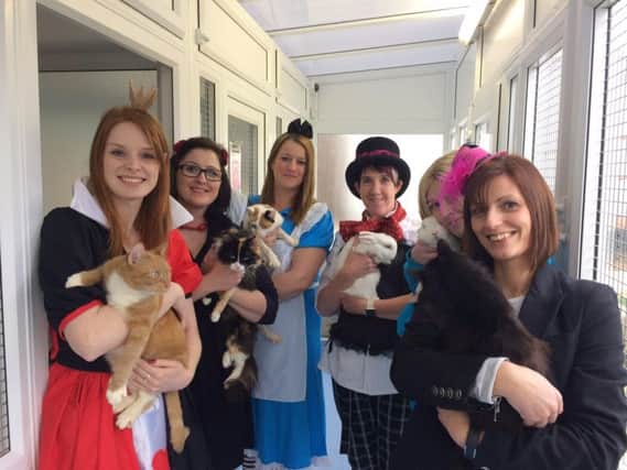 Staff at RSPCA Northamptonshire hosted a Mad Hatters Tea Party rehoming event in February.
