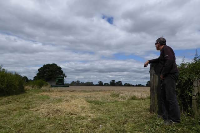Watching the barley coming in