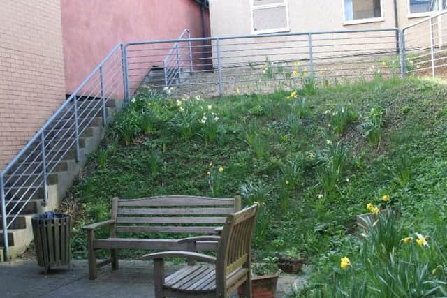 The garden before the revamp.