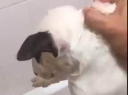 The distressing video was posted over the weekend and has been shared more than 6,000 times.