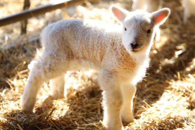 Thieves broke into West Lodge Rural Centre in Desborough