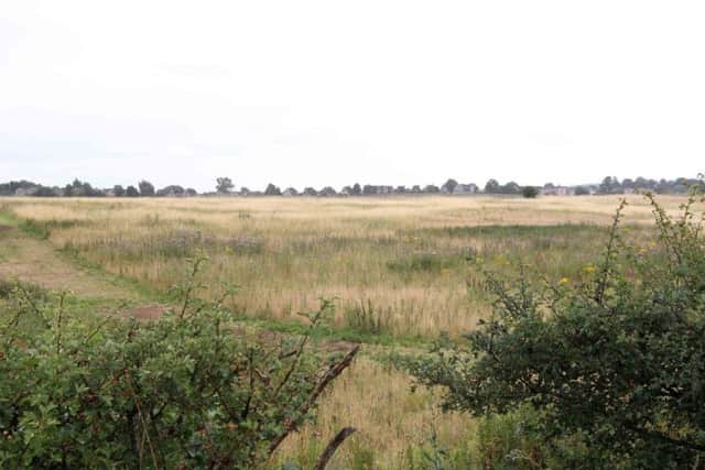 Northampton Borough Council has issued no objection to a 1,050 homes plan on the edge of town.