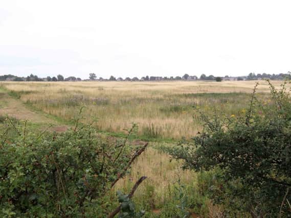 Northampton Borough Council has issued no objection to a 1,050 homes plan on the edge of town.